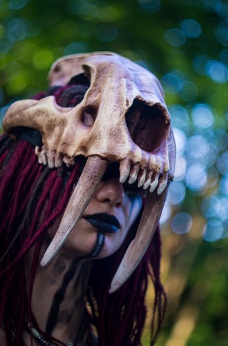 Sabertooth tiger skull mask - sabertooth,