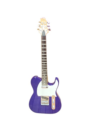 Samick formula telecaster - 1,