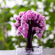 Mini Magic Sakura DIY Crystal