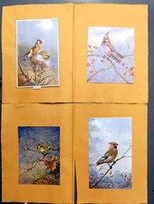 Original Old Antique Print