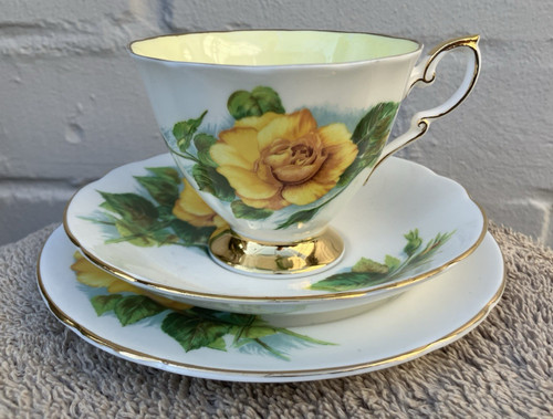 Paragon harry wheatcroft roses - harry,