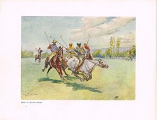Playing Polo In South Africa