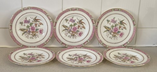 Tuscan fine bone - bone, china