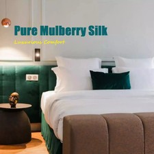 PAIR Of Mulberry Silk Pillows