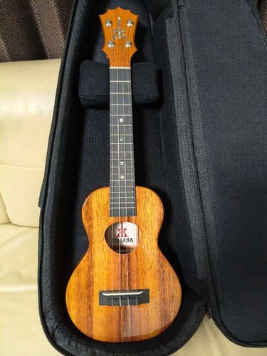 Koaloha ukulele body - ukulele, ug