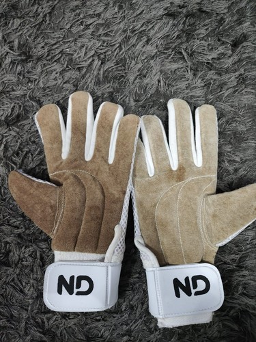 Cricket wicket keeper - cricket, inner
