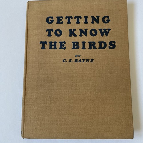 Vintage illustrated bird book - vintage,