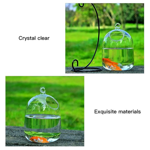 Hanging glass vase fish - vase,