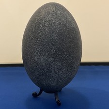 Emu Egg On black Stand 14cm