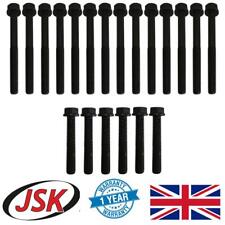 Cylinder Head Bolt Set 20pc