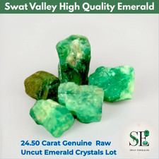 Natural swat - ct,