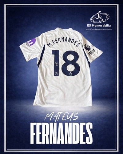 Mateus fernandes tottenham - fernandes,