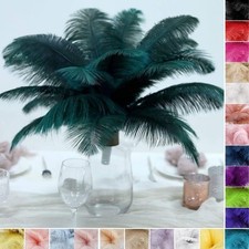 36 pcs 13-15" long Genuine