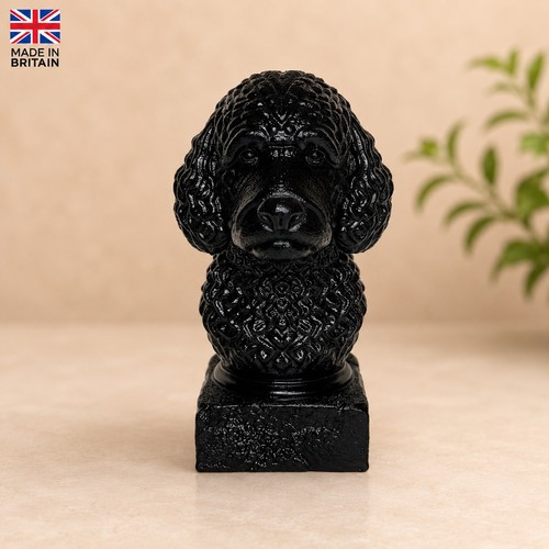 Labradoodle bust model - labradoodle,