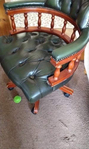 Captains chair swivel green - captains,