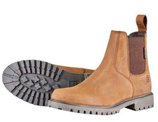 Dublin Venturer Stable Yard