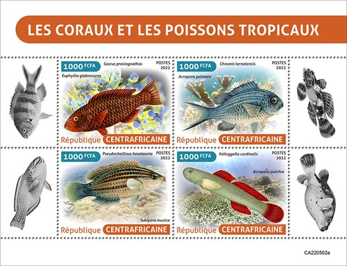 Corals and tropical - , fishes