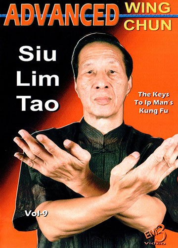 Mastering wing chun - mastering,