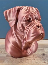Dogue De Bordeaux Mastiff Dog