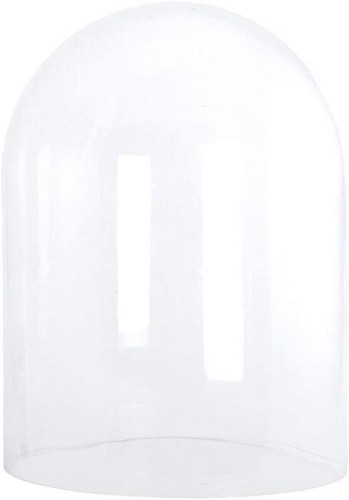 Large glass display cloche - large,