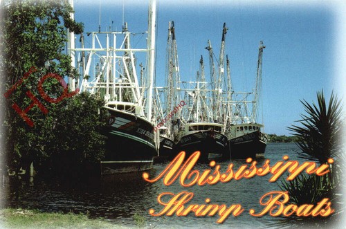 Picture postcard mississippi - picture, postcard: