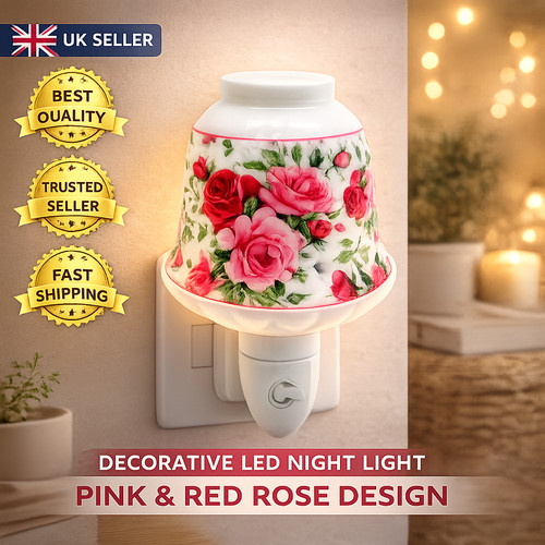 Decorative led night light - night,