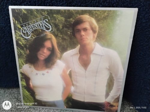 Carpenters horizon vinyl - 12",