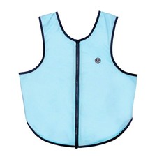 Champion TI22 Adults Coloured