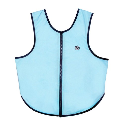 Champion ti22 adults coloured - champion,
