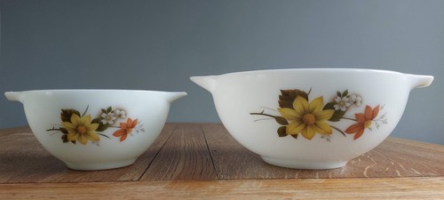 Vintage jaj pyrex autumn glory - jaj,
