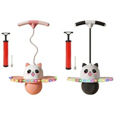 Panda Shape Pogo Ball with