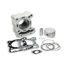 Malossi 166cc Cylinder Kit