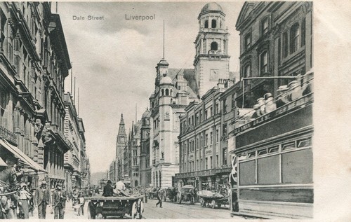 Horse carts dale street - horse,