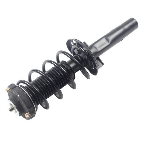 Front complete strut - front,