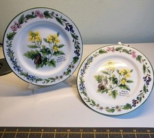 Royal Worcester Herbs 2 x Side Plates Excellent Condition