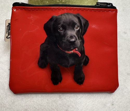 Catseye london black - catseye, labrador