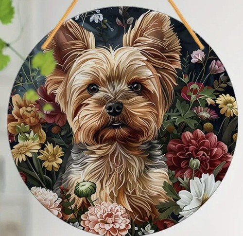 Yorkshire terrier dog - terrier,