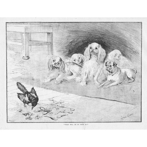 Louis wain what - what, will