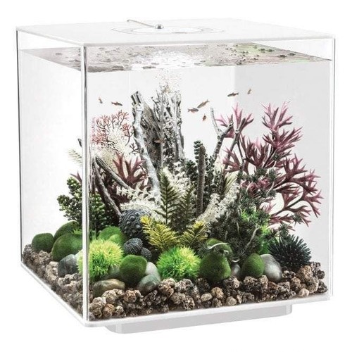 Biorb cube aquarium with - aquarium,