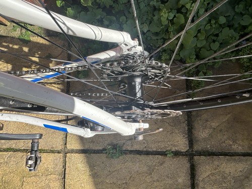Bordman road bike - road, bike.