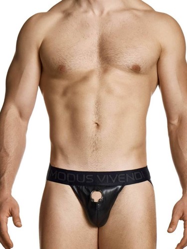 Modus vivendi prince - modus,