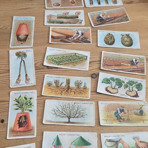 Will cigarette cards - 20, will’s