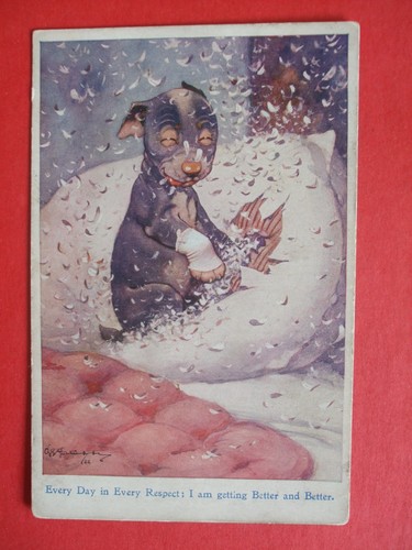 Studdy comic dog bandage - e,