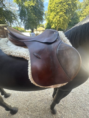 Passier saddle - saddle,