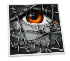Eye Barb Wire Grey CANVAS