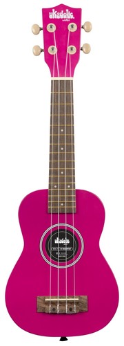 Kala dragonfruit dragon - uk-dragonfruit,