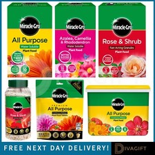 PLANT FOOD ALL PURPOSE ROSE SHRUB ERICACEOUS AZALEA WATER SOLUBLE MIRACLE GRO 