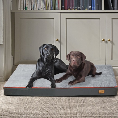 Xxl orthopedic dog - orthopedic,