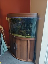 Juwel rio corner fish tank - juwel,