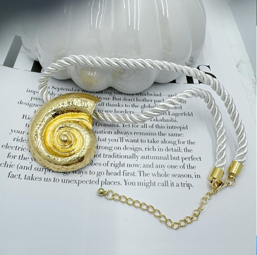 Nautilus ocean beach shell - ocean,